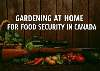 Producing Your Own Crops in Canada: A Guide to Food Security Gardening