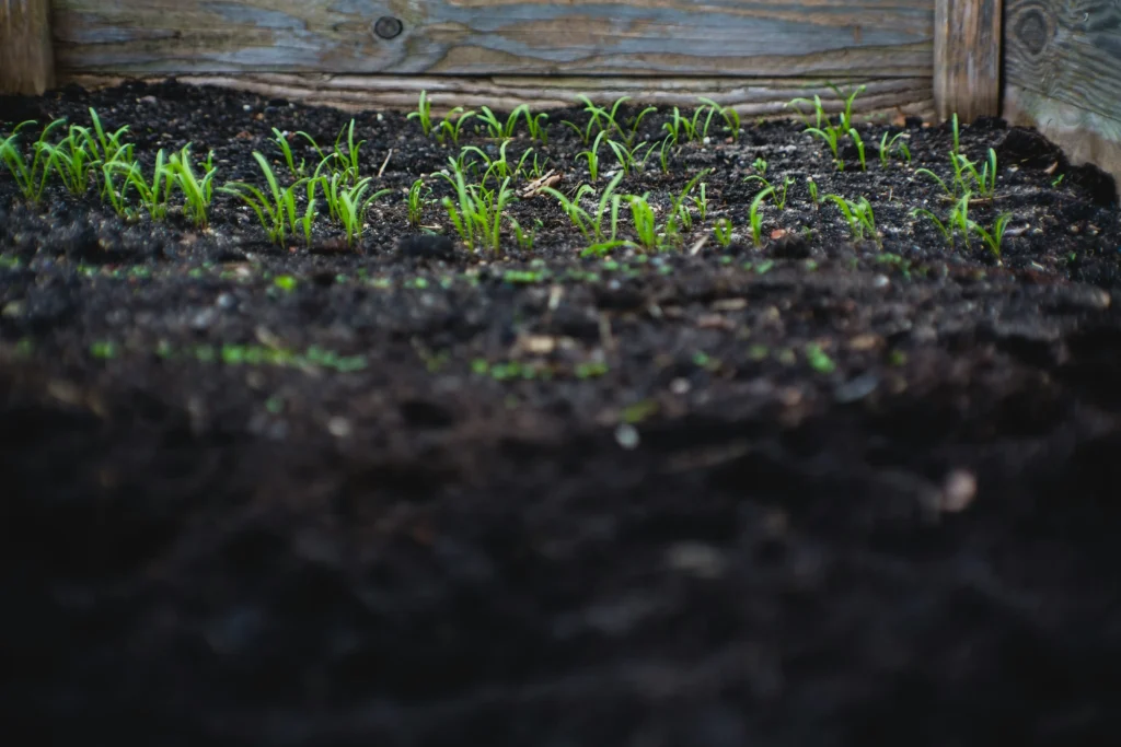 A Guide on Preparing Garden Soil for Planting in Canada