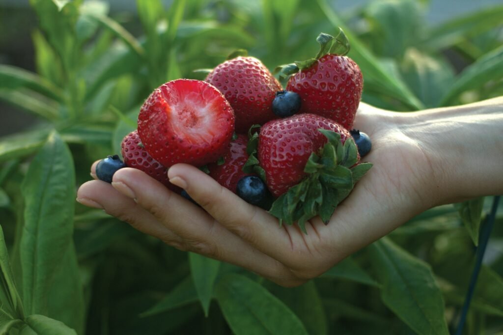 Producing Your Own Crops in Canada: A Guide to Food Security Gardening