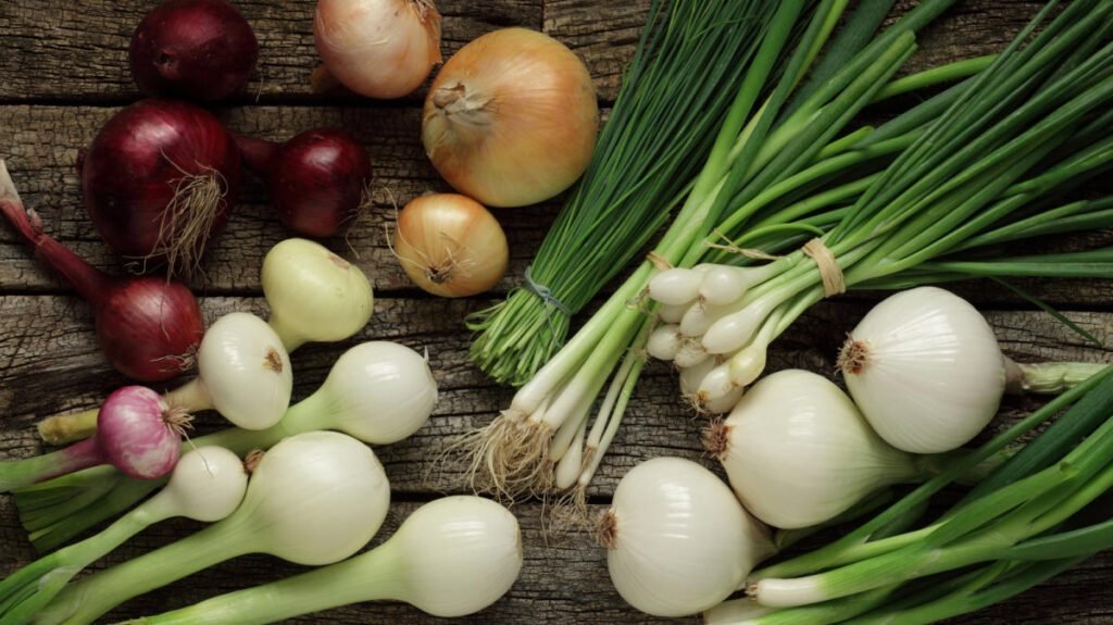 How to Store Onions for Up to an Year