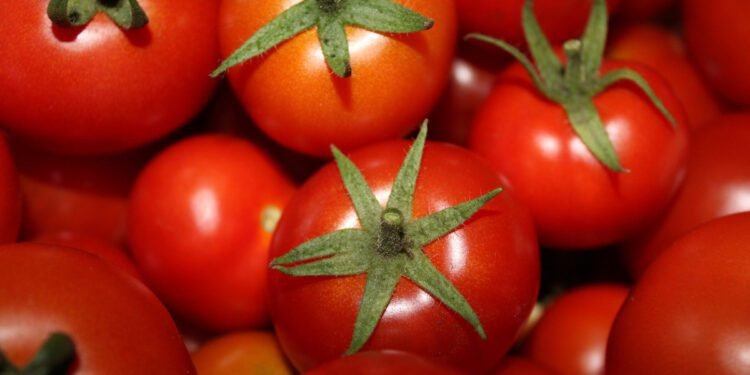 Three Easy Ways to Ripen Tomatoes in the House