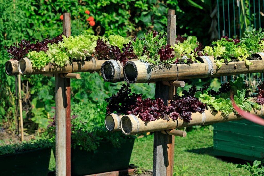 Best Sub Tropical Garden for Springs