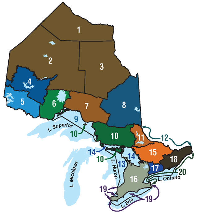 “Top Fishing Competitions in Canada: Prime Spots and Proven Strategies for Anglers”