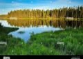 Ontario Northern Boreal: A Photographer’s Dream Destination