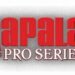Fishing Like a Pro: Top 5 Rapala Lures Every Canadian Should Own