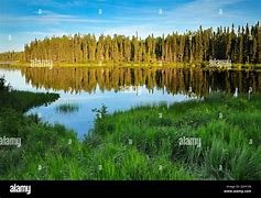 Ontario Northern Boreal: A Photographer’s Dream Destination