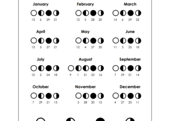 Did the 2025 Solunar Calendar Predict the Best Fishing Days in Canada? Did the 2025 Solunar Calendar Predict the Best Fishing Days in Canada?