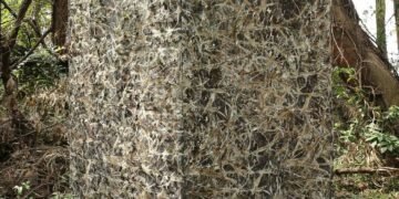 Hunting Blinds in Canada: The Ultimate Guide to Choosing, Using, and Maintaining Your Blind