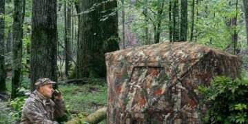 Innovative Hunting Tactics for Ducks: