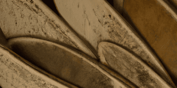 The History of Hunting: From Survival to Sport