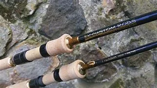 Top Trout Fishing Rods for Every Angler in 2025