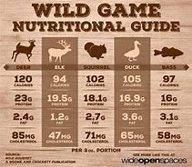Agricultural Areas During Summer - Whitetail Deer Nutrition