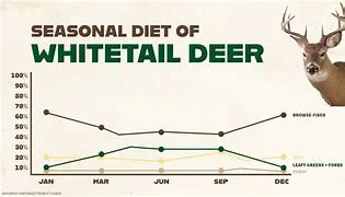 Whitetail Deer Nutrition