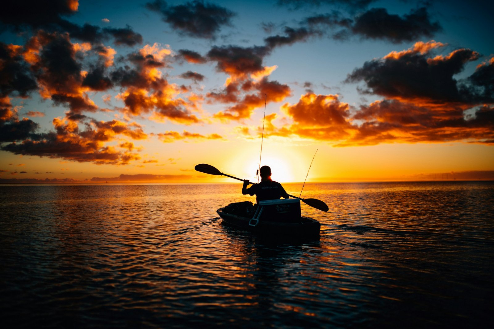 Fly-Fishing