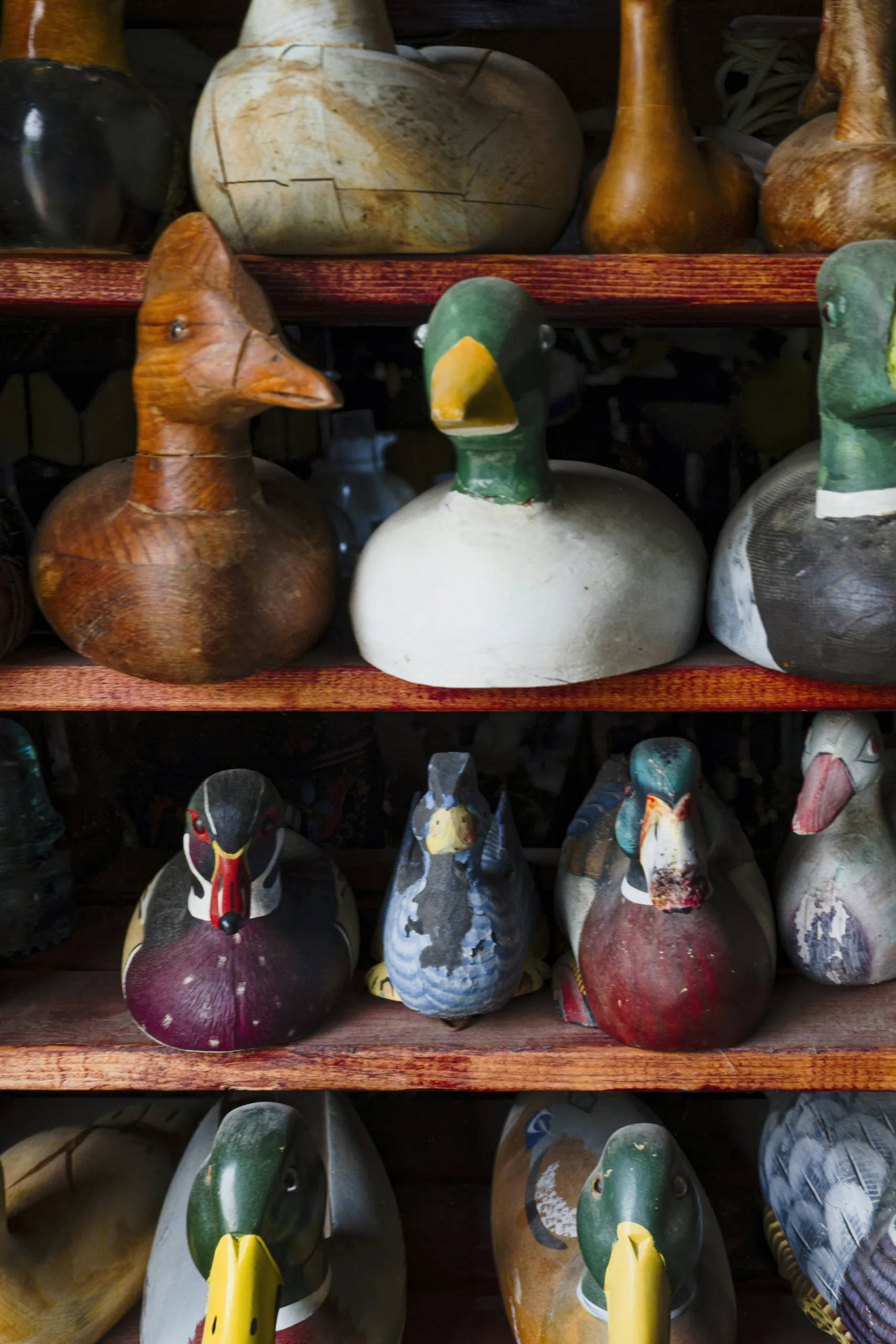 Innovative Hunting Tactics for Ducks and Geese: Tips for the Upcoming Season