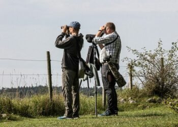 The Thrill of Wildlife Watching: A Rewarding Experience Beyond Hunting and Fishing The Thrill of Wildlife Watching: A Rewarding Experience Beyond Hunting and Fishing