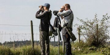 The Thrill of Wildlife Watching: A Rewarding Experience Beyond Hunting and Fishing