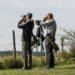 The Thrill of Wildlife Watching: A Rewarding Experience Beyond Hunting and Fishing