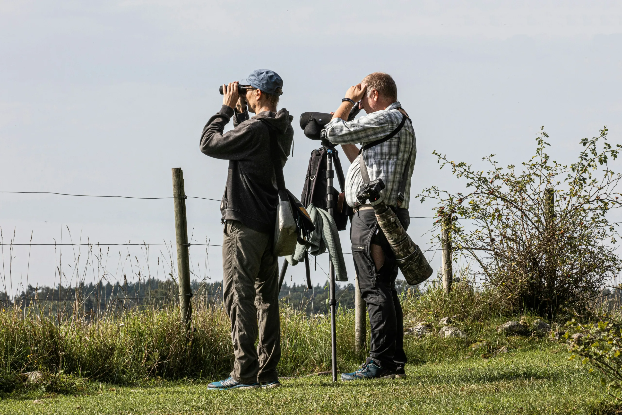 The Thrill of Wildlife Watching: A Rewarding Experience Beyond Hunting and Fishing