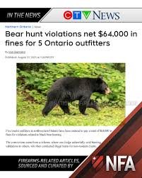 Hunting Fines in Ontario
