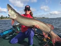 Muskie Fishing on Lake of the Woods