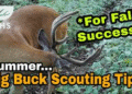 🦌 Fall Deer Hunting Tactics for Big Bucks: Expert Strategies, Gear & Seasonal Insights