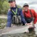 🐟 Cold Currents & Hot Discoveries: My Firsthand Experience Fishing Canada’s Wild Salmon Waters in 2025