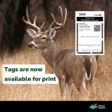 Hunting Fines in Ontario