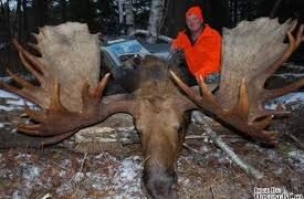 🦌 Moose Hunting in Thunder Bay: Top 10 Questions Answered for 2025