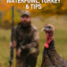 Thanksgiving Hunting in Canada: Top Waterfowl Experiences & Tips