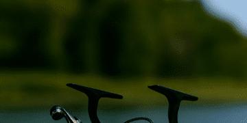 Best Fishing Reels in Canada for 2025: Top Spinning and Baitcasting Options