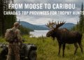 Moose Hunting Trips Canada: Premier Destinations & Guide Insights