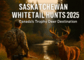 Saskatchewan Whitetail Hunts: Ultimate Guide to Trophy Deer Hunting