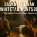 Saskatchewan Whitetail Hunts: Ultimate Guide to Trophy Deer Hunting
