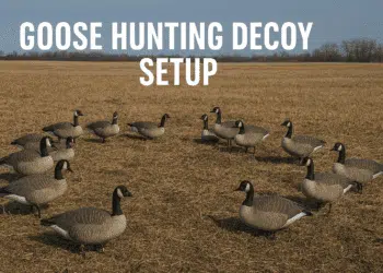 Goose Hunting Decoy Setup 2025: Ultimate Pro Strategies for High Success