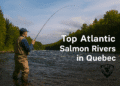 🎣 Atlantic Salmon Rivers in Quebec: A Comprehensive Guide for Anglers