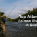 🎣 Atlantic Salmon Rivers in Quebec: A Comprehensive Guide for Anglers 🎣 Atlantic Salmon Rivers in Quebec: A Comprehensive Guide for Anglers