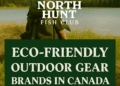 Eco-Friendly Outdoor Gear: Top Brands, Materials & Sustainable Choices