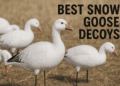 Best Snow Goose Decoys 2025: Top Picks, Features & Buying Guide