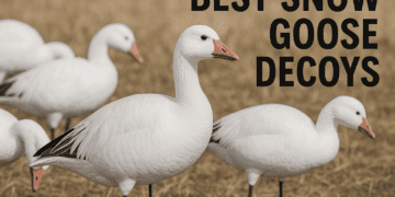 Best Snow Goose Decoys 2025: Top Picks, Features & Buying Guide