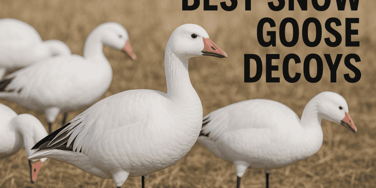 Best Snow Goose Decoys 2025: Top Picks, Features & Buying Guide
