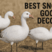 Best Snow Goose Decoys 2025: Top Picks, Features & Buying Guide Best Snow Goose Decoys 2025: Top Picks, Features & Buying Guide