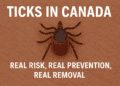 Ticks in Canada: Real Risk, Real Prevention, Real Removal