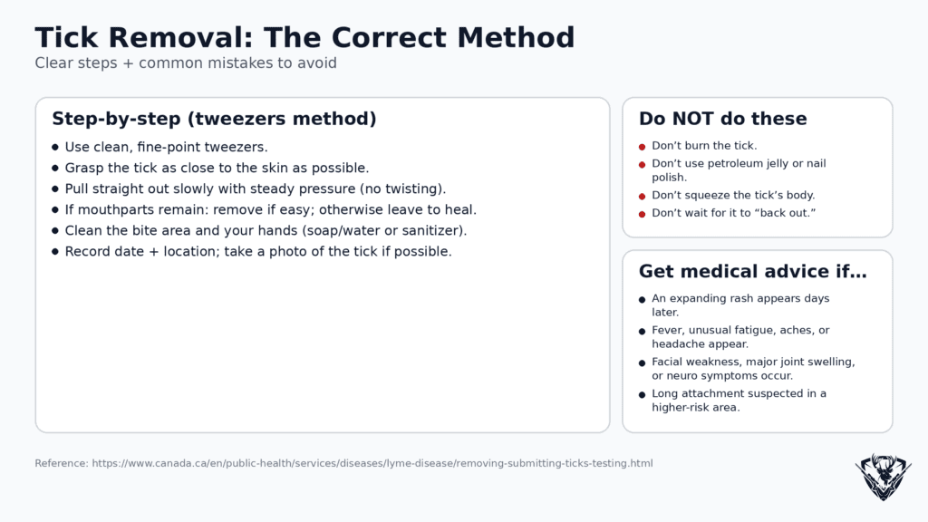 Ticks in Canada removal infographic with step-by-step tweezers method and common mistakes to avoid