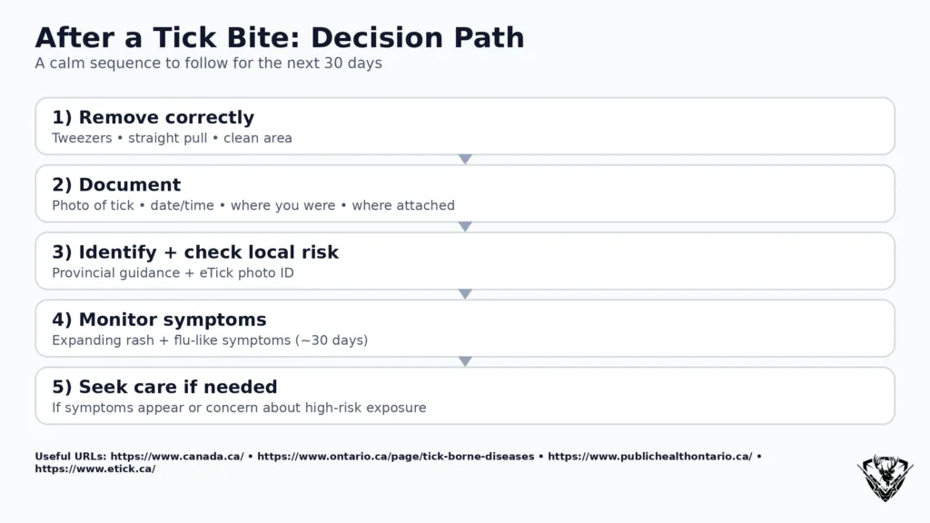 Ticks in Canada after-bite decision path infographic: remove, document, identify, monitor symptoms, seek care