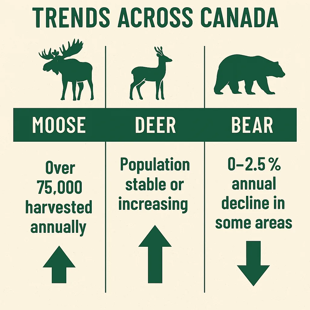 “Infographic showing Canadian wildlife trends with icons for moose, deer, and bear. Moose harvest exceeds 75,000 annually, deer populations are stable or rising, and bear numbers show a 0–2.5% decline in some regions. Includes upward and downward arrows to indicate trends.”