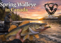 Spring Walleye Fishing in Canada: The Ultimate Guide