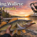 Spring Walleye Fishing in Canada: The Ultimate Guide