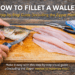 How to Fillet a Walleye: Step-by-Step Guide (Including the Zipper Method)