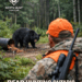 Bear Hunting Ontario: The Complete 2025 Hunter’s Playbook